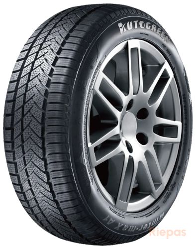 AUTOGREEN Winter-max A1-WL5 245/45 R19 102V