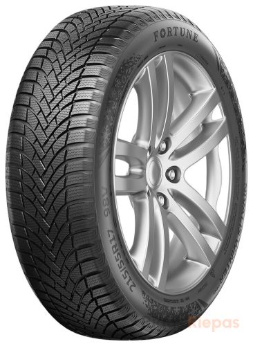 FORTUNE Nivalis Winter Pro 225/45 R19 96V