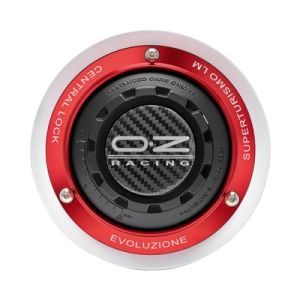 OZ Racing 81210374 centre cap 55 mm, silver