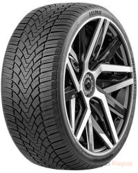 iLink Snowgripper I 205/55 R16 91H