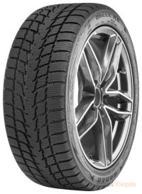 Radar Dimax Ice 215/55 R16 97T