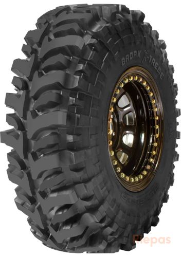 ACCELERA Badak X-treme 10.5/31 R15 110N