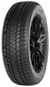 Gripmax SureGrip Pro Winter 255/60 R20 113V