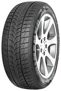 Minerva Frostrack UHP 205/40 R18 86V