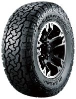 Roadcruza RA1100 285/45 R22 117S
