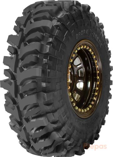 Accelera Badak X-treme 10/31 R15 110Q