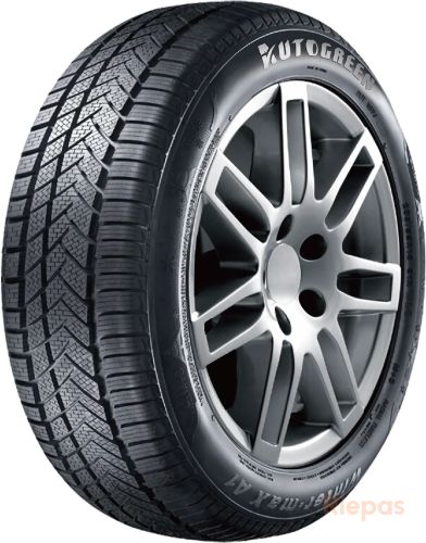 Autogreen Winter-max A1-WL5 255/40 R19 100V