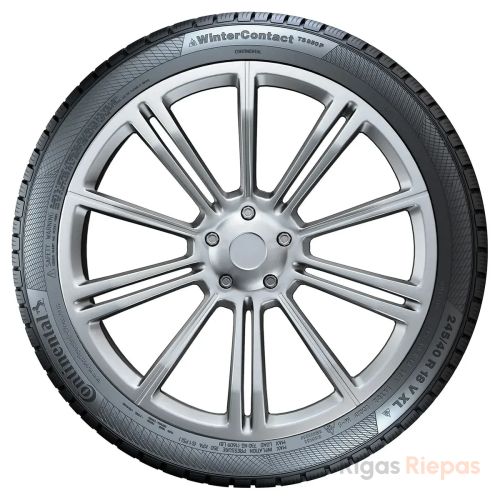 Continental WinterContact TS850 P SUV 255/50 R18 106V - 3