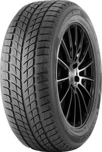 DOUBLESTAR DW09 275/40 R20 106V