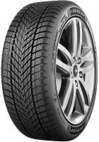 Dunlop Winter 205/55 R17 95V