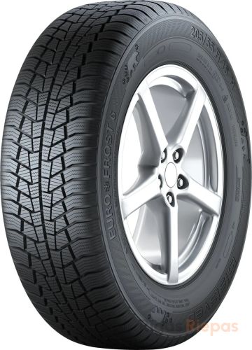 Gislaved Euro Frost 6 205/55 R16 91T