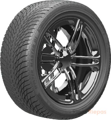 Greentrac Winter Master D1 215/55 R17 98V