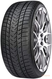 Gripmax SureGrip eWinter 205/40 R17 84V