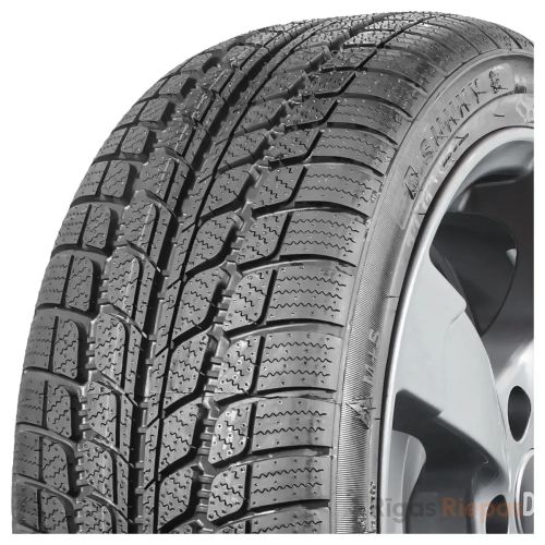 Sunny NW103 205/65 R16 107R - 2