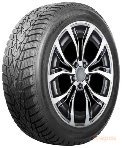 AUTOGREEN Ice Cruiser AW01 205/55 R16 91T