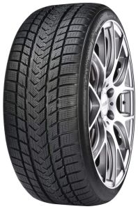 Gripmax SureGrip eWinter 255/60 R20 113V