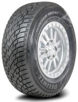 Winter WD42