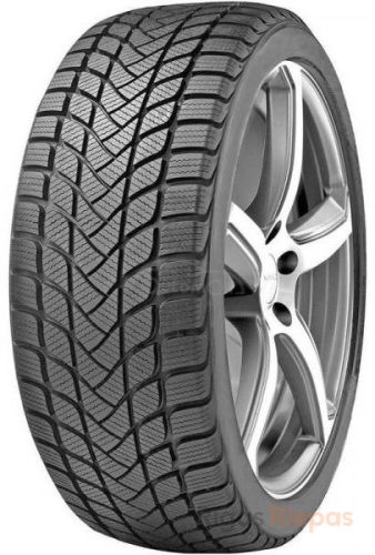 DELINTE Winter WD6 205/50 R17 93H