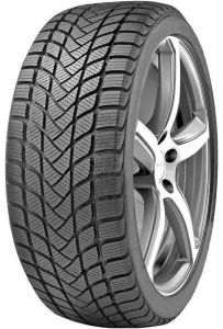 DELINTE Winter WD6 205/50 R17 93H