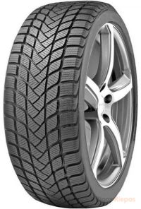 DELINTE Winter WD6 205/50 R17 93H
