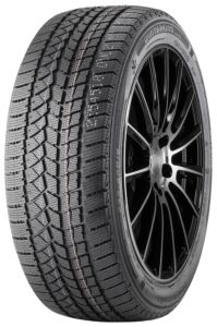 Doublestar Winterking DW02 205/55 R16 91T