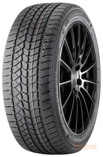 Doublestar Winterking DW02 205/55 R16 91T