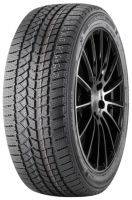 Doublestar Winterking DW02 235/55 R17 99S