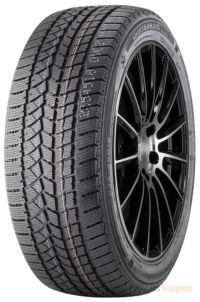 Doublestar Winterking DW02 205/55 R16 91T