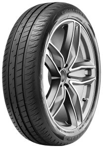 Radar Dimax Eco 195/55 R20 95H