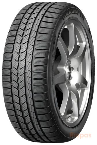 ROADSTONE WinGuard Snow G 195/65 R15 91T