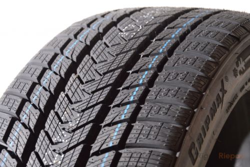 Gripmax Status Pro Winter 275/50 R21 113V - 2