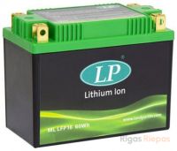LANDPORT LFP16 60Ah 300A