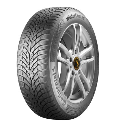 Изображение статьи - Зимняя новинка 2021 года - CONTINENTAL TS870