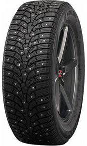 255/50R19 Nankang Ice Activa Grip 2