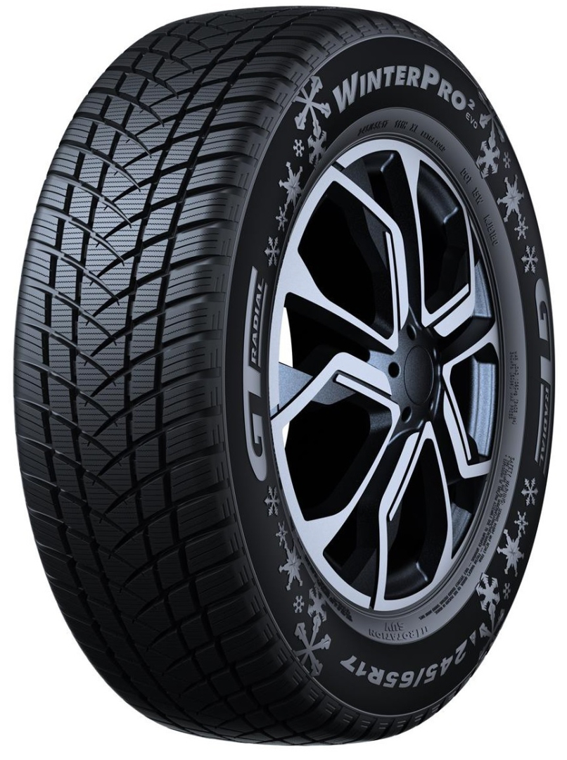 GT RADIAL WINTERPRO 2 (EVO) 205/55R16